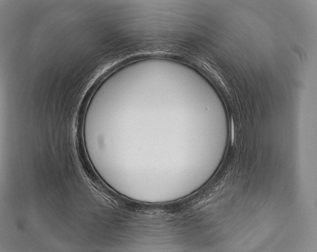 X0000111240483200907021002