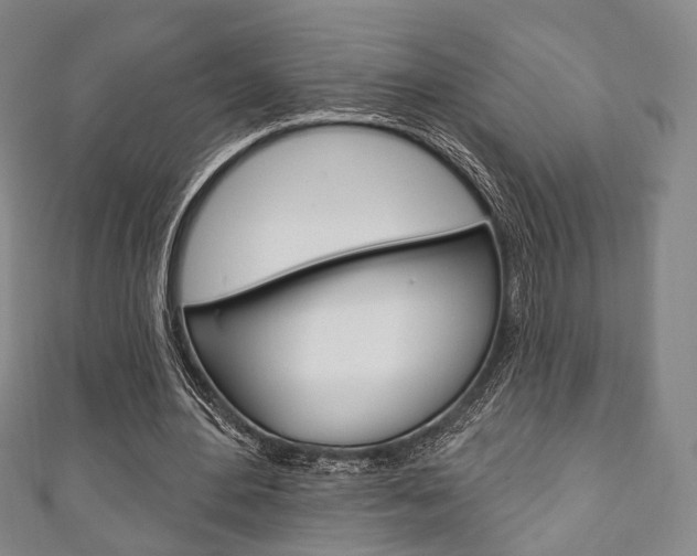 X0000111240484200907021002
