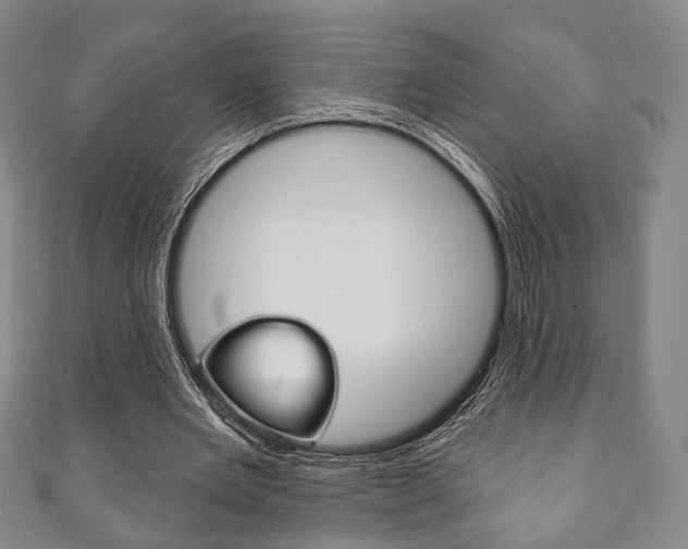 X0000111240485200907021002