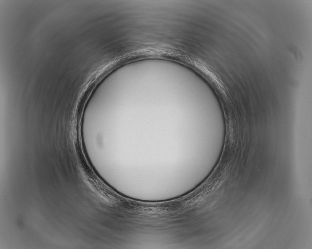 X0000111240486200907021002