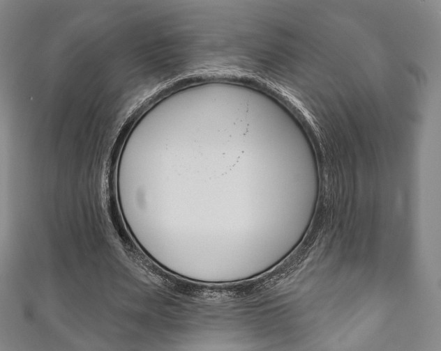 X0000111240487200907021002