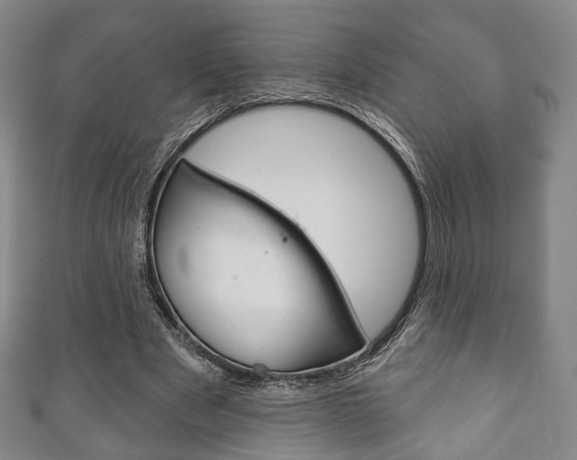 X0000111240489200907021002
