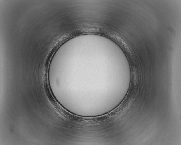 X0000111240490200907021002