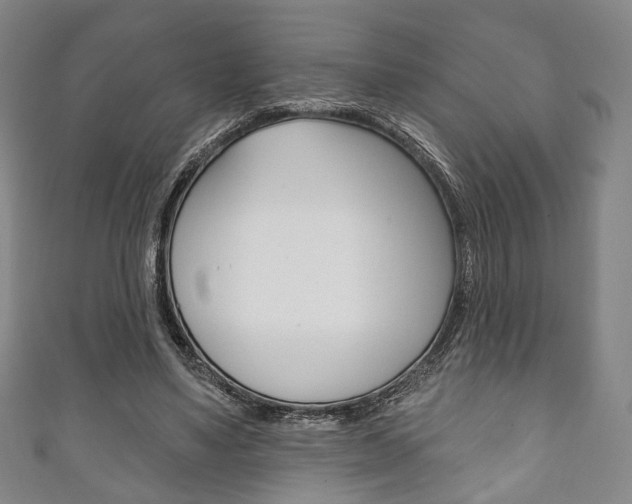 X0000111240491200907021002