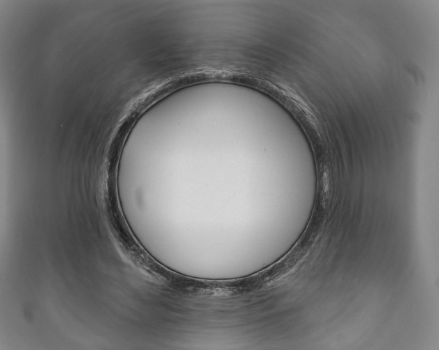 X0000111240492200907021002