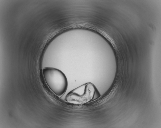 X0000111240493200907021002