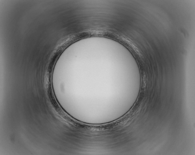 X0000111240494200907021002