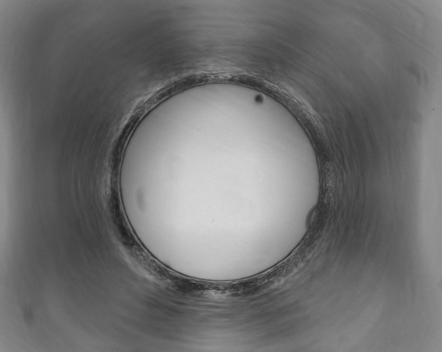 X0000111240496200907021002