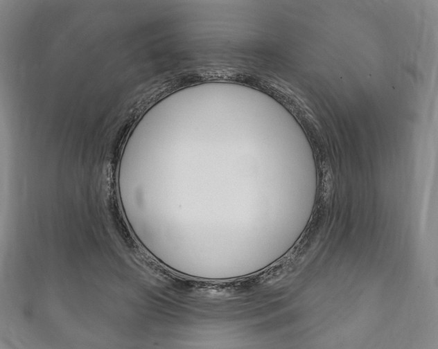 X0000111240498200907021002