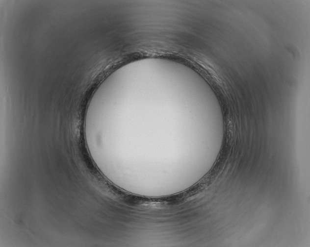 X0000111240499200907021002
