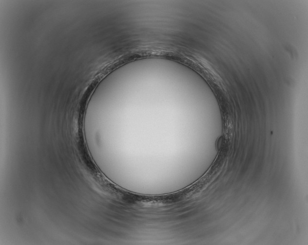 X0000111240500200907021002