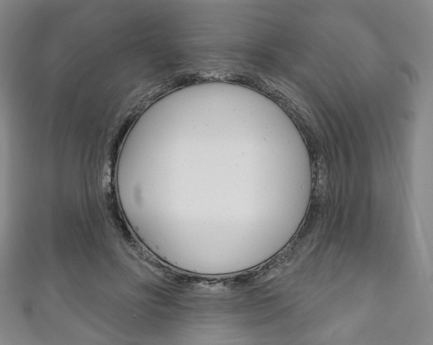 X0000111240502200907021002