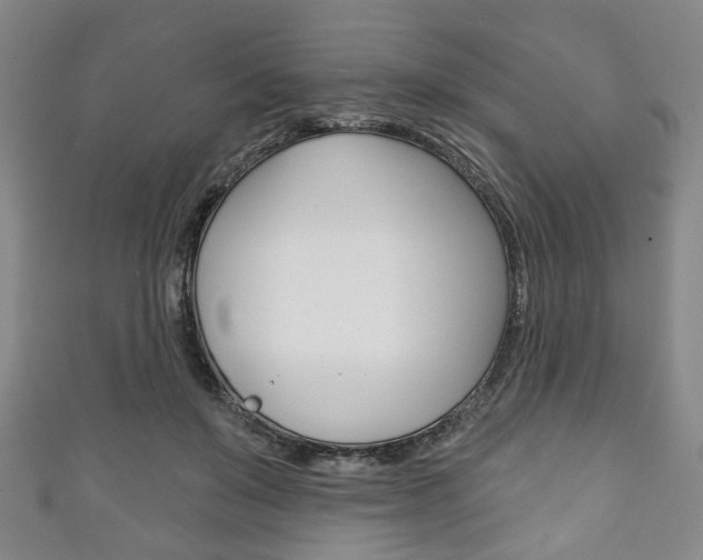 X0000111240503200907021002