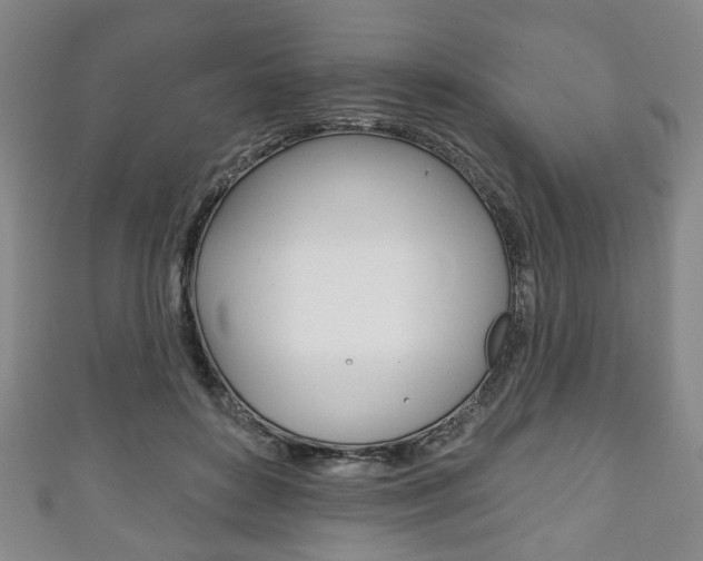 X0000111240504200907021001