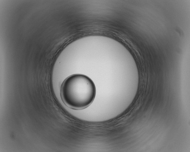 X0000111240505200907021001