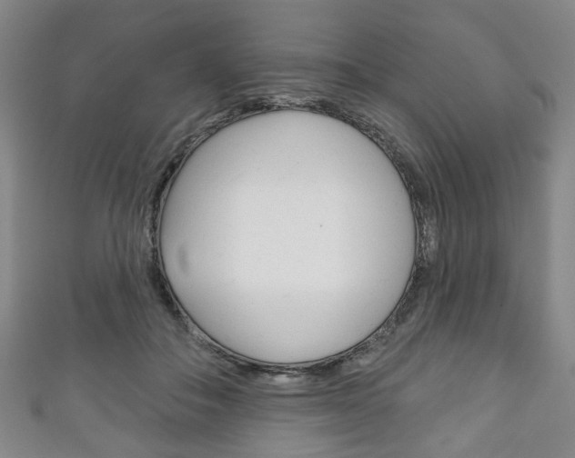 X0000111240506200907021001