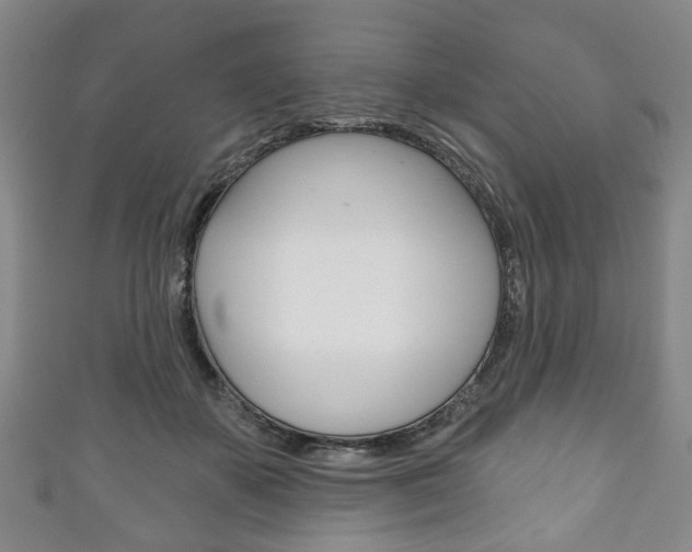 X0000111240507200907021001