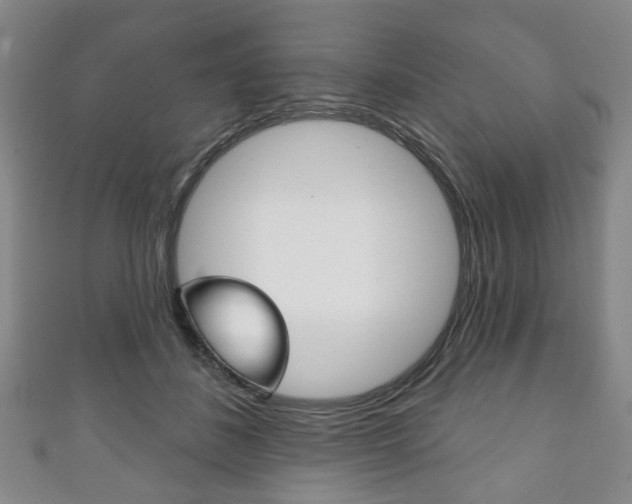 X0000111240508200907021001