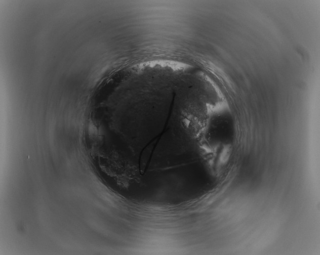 X0000111240509200907021001