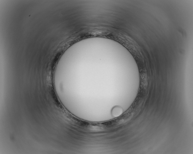X0000111240510200907021001
