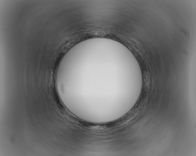 X0000111240511200907021001