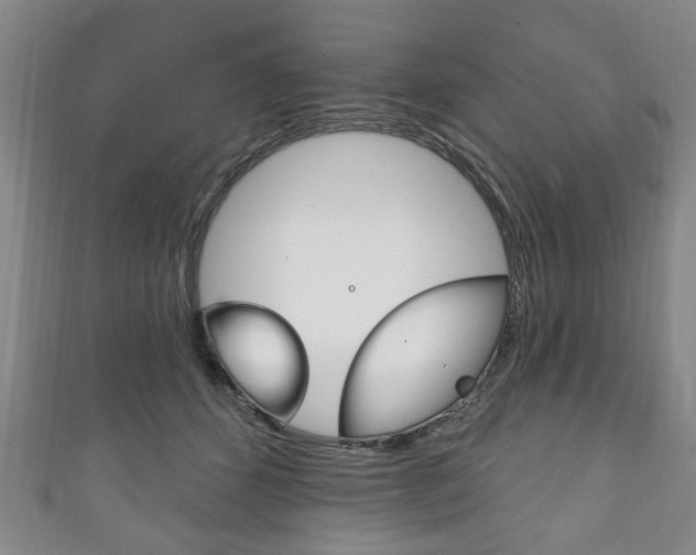 X0000111240512200907021001