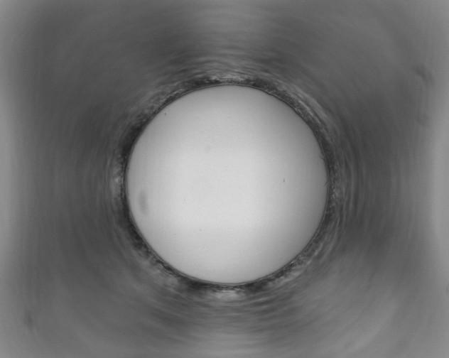X0000111240513200907021001