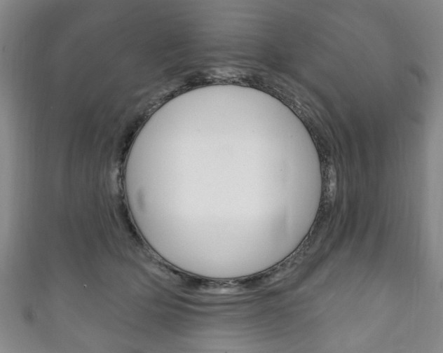 X0000111240514200907021001