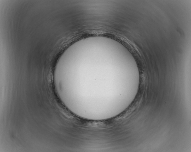 X0000111240517200907021001