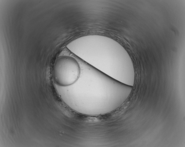 X0000111240519200907021001