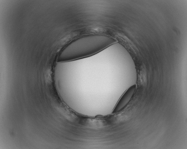 X0000111240520200907021001