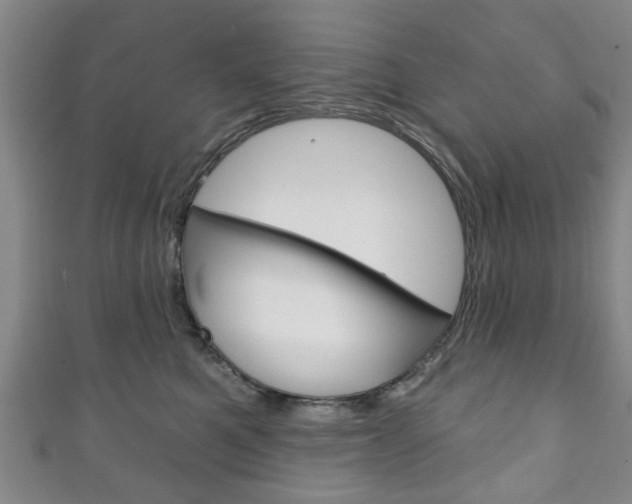 X0000111240521200907021001