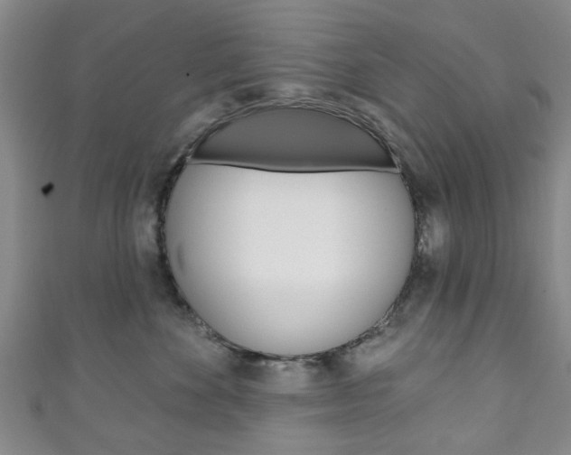 X0000111240524200907021001