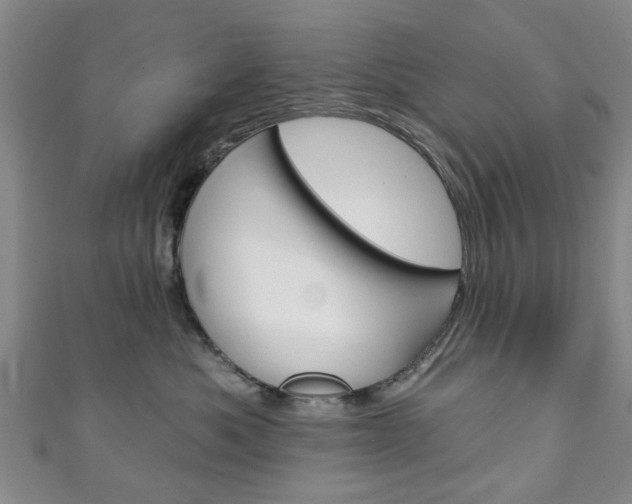 X0000111240525200907021001