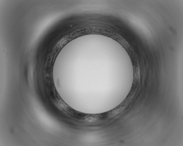 X0000111240526200907021001