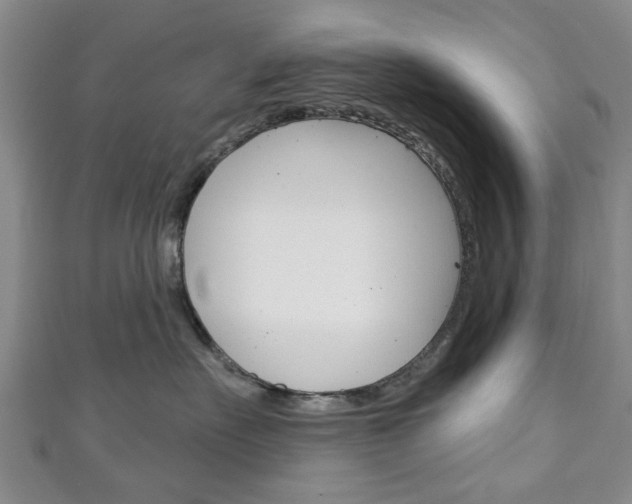 X0000111240527200907021001