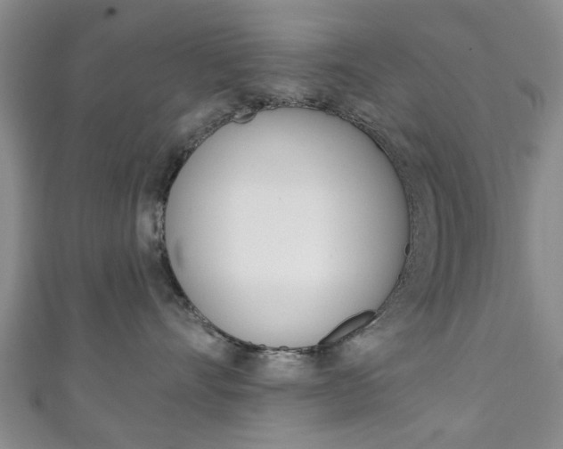X0000111240528200907021001