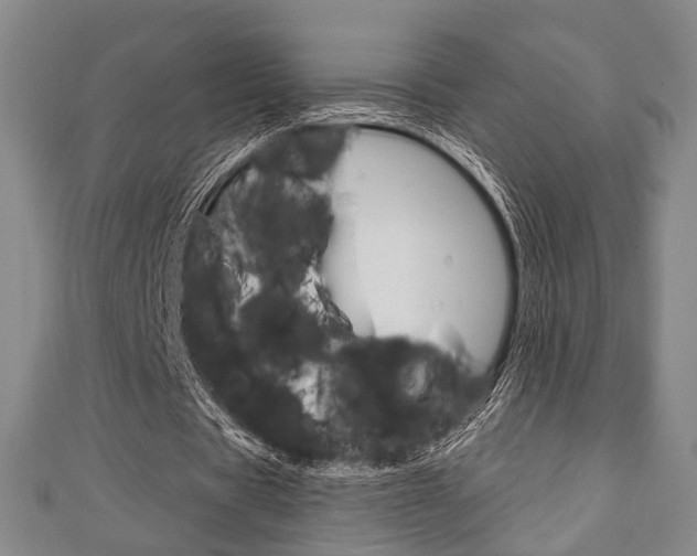 X0000111240529200907021001