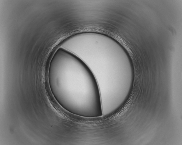 X0000111240530200907021001