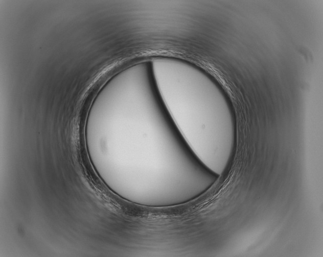 X0000111240531200907021001