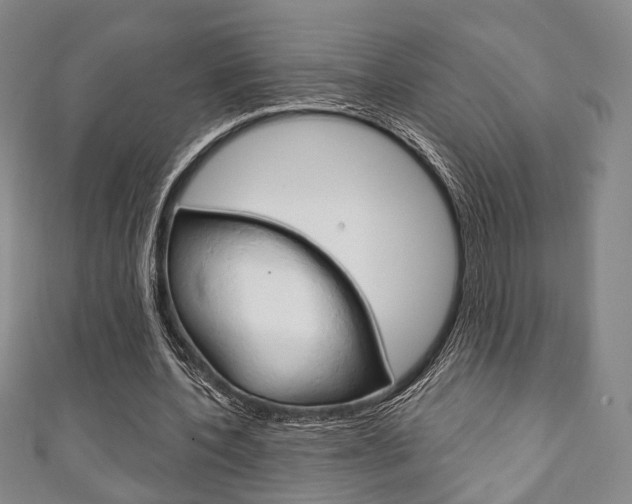 X0000111240532200907021001