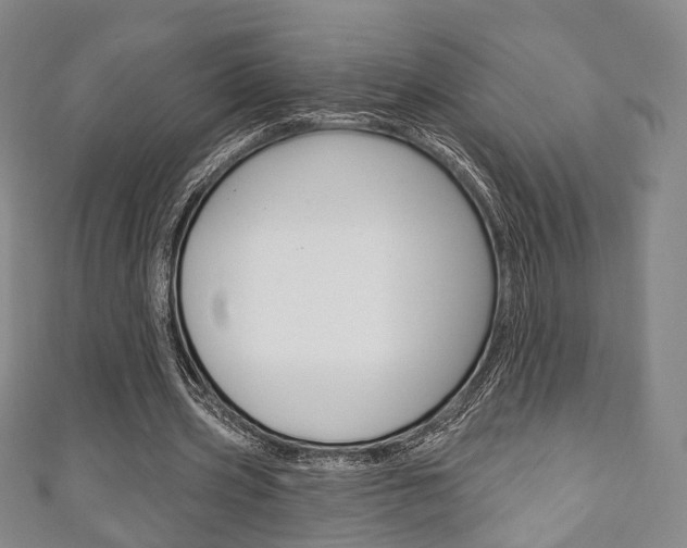 X0000111240533200907021001