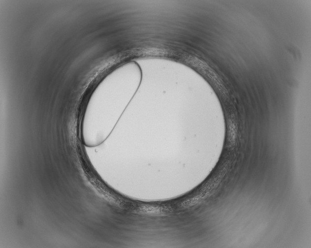 X0000111240534200907021001