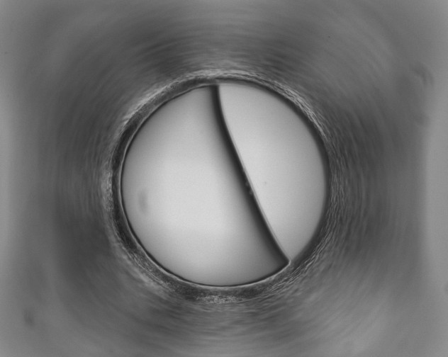 X0000111240535200907021001