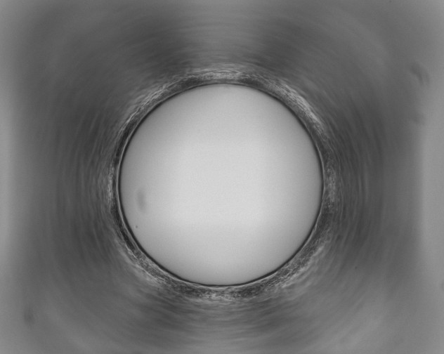 X0000111240537200907021001