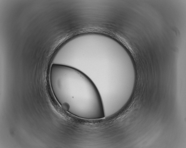 X0000111240538200907021001