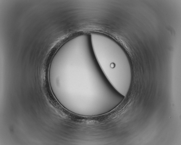 X0000111240539200907021001