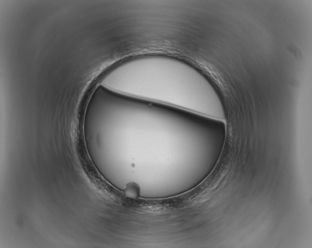 X0000111240540200907021001