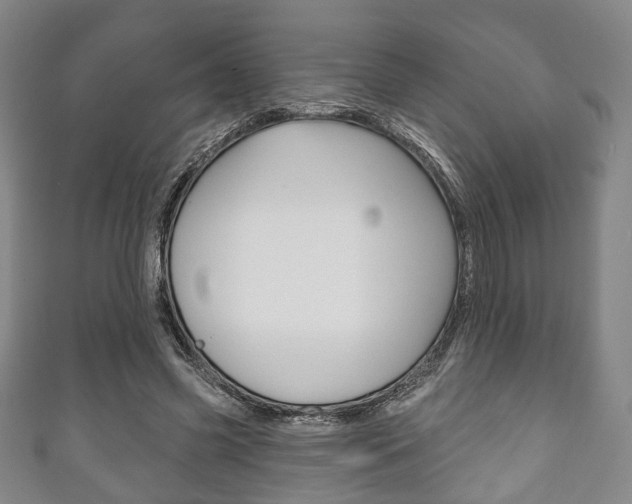 X0000111240541200907021001