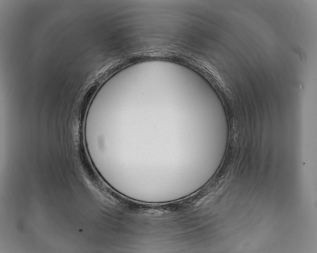 X0000111240542200907021001
